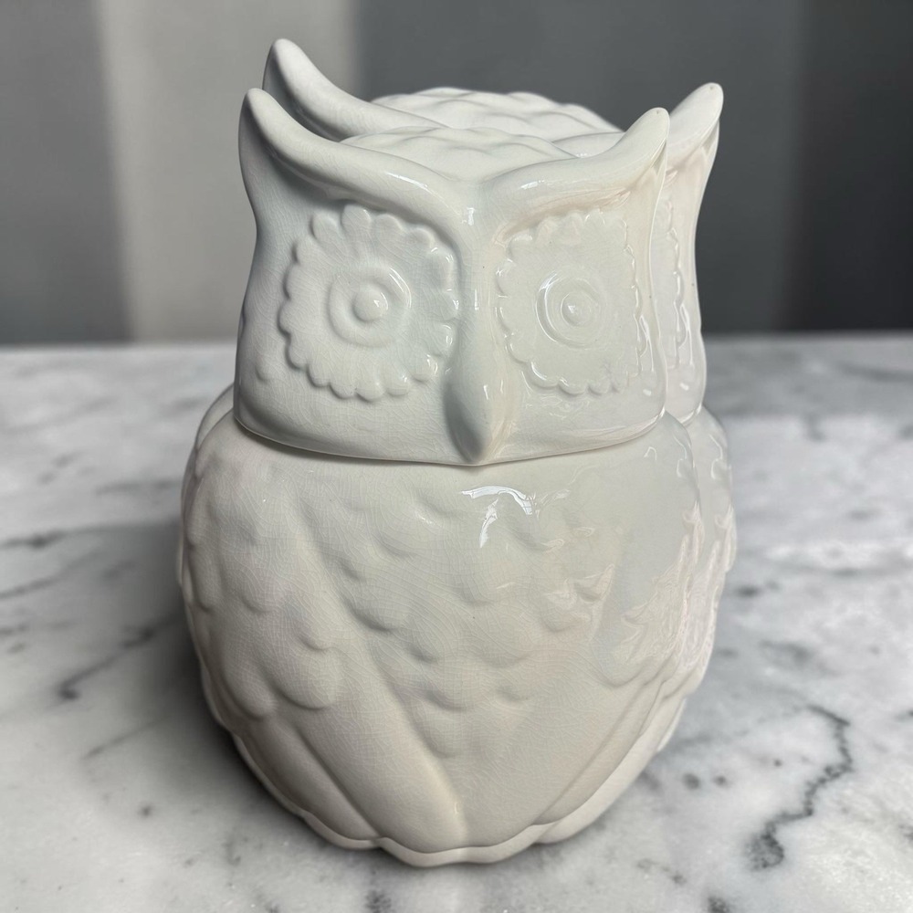 Threshold Owl Cookie Jar Cream Crackle Glaze Stoneware Ceramic Owl Canister